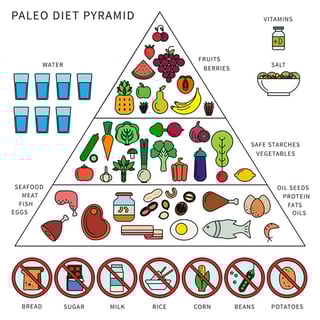 Picture of Paleolithic diet