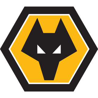 Picture of Wolverhampton Wanderers F.C.