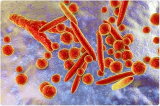 Picture of Mycoplasma