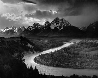 Picture of Black-and-white