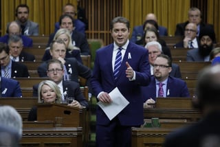 Picture of Question Period