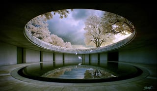 Picture of Tadao Ando