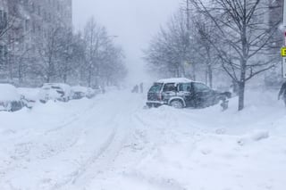 Picture of Blizzard