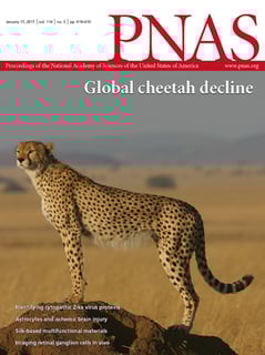 Picture of Proceedings of the National Academy of Sciences of the United States of America