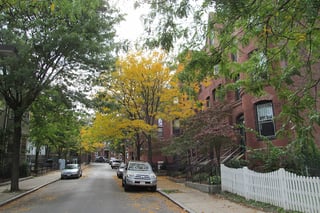 Picture of Roxbury