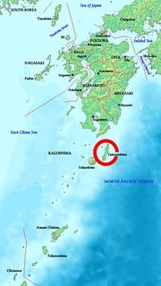 Picture of Tanegashima