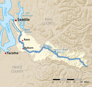 Picture of Duwamish River