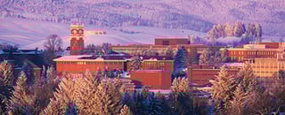 Picture of Washington State University