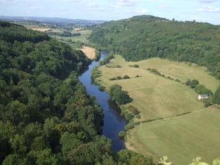 Picture of Forest of Dean