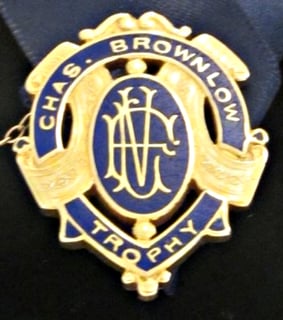 Picture of Brownlow Medal