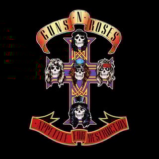 Picture of Appetite for Destruction