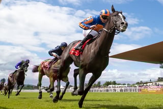Picture of Irish Derby