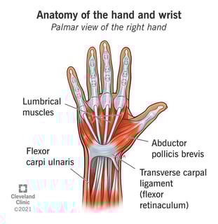 Picture of wrist