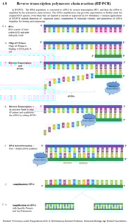 Picture of Reverse transcription polymerase chain reaction