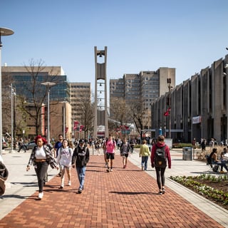 Picture of Temple University