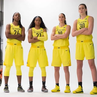 Picture of Seattle Storm