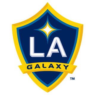 Picture of LA Galaxy