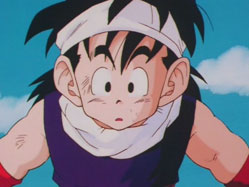 Picture of Gohan