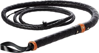 Picture of Whip