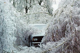 Picture of Winter storm
