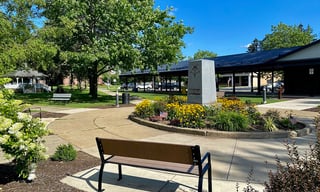 Picture of Olean