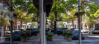 Picture of Rye
