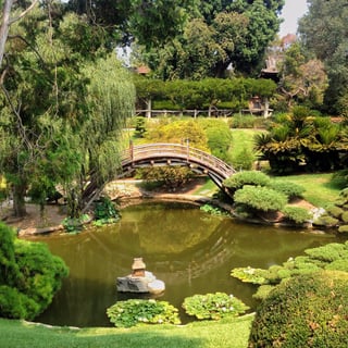 Picture of The Huntington Library, Art Museum, and Botanical Gardens