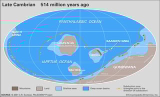 Picture of Cambrian