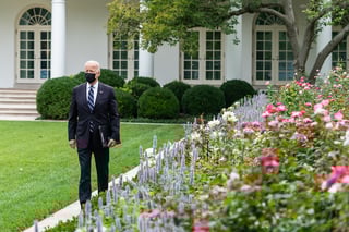 Picture of White House Rose Garden