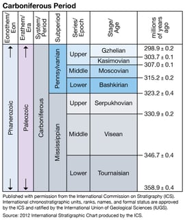 Picture of Carboniferous