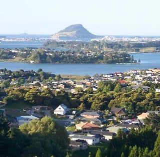 Picture of Tauranga