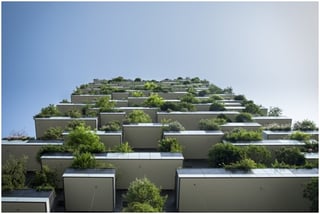 Picture of Apartment