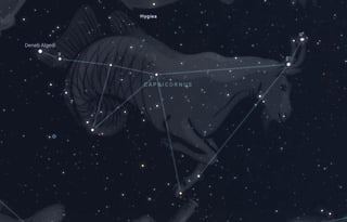 Picture of Capricornus