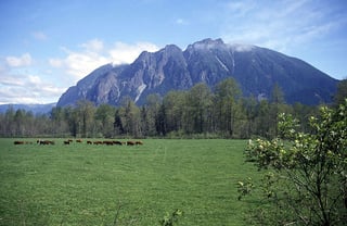 Picture of Mount Si
