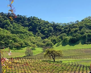 Picture of Santa Clara Valley