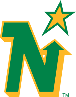Picture of Minnesota North Stars