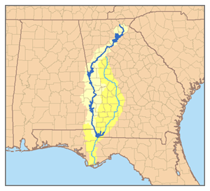Picture of Chattahoochee River