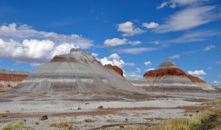 Picture of Petrified Forest National Park