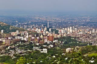Picture of Cali