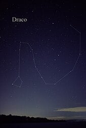 Picture of Draco