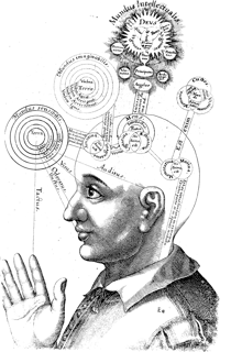 Picture of Consciousness
