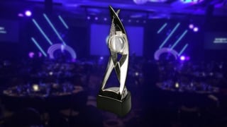 Picture of D.I.C.E. Awards