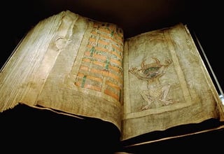 Picture of Codex