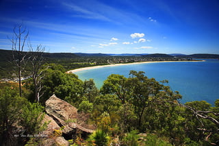 Picture of Central Coast