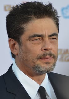 Picture of Benicio del Toro