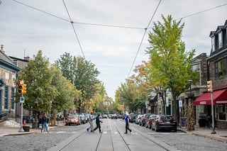 Picture of Chestnut Hill