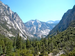 Picture of Kings Canyon National Park