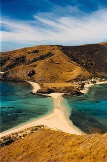 Picture of Shoal