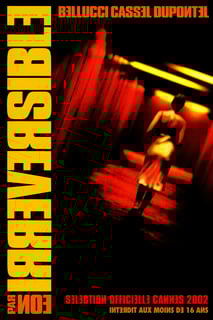 Picture of Irréversible