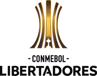 Picture of Copa Libertadores